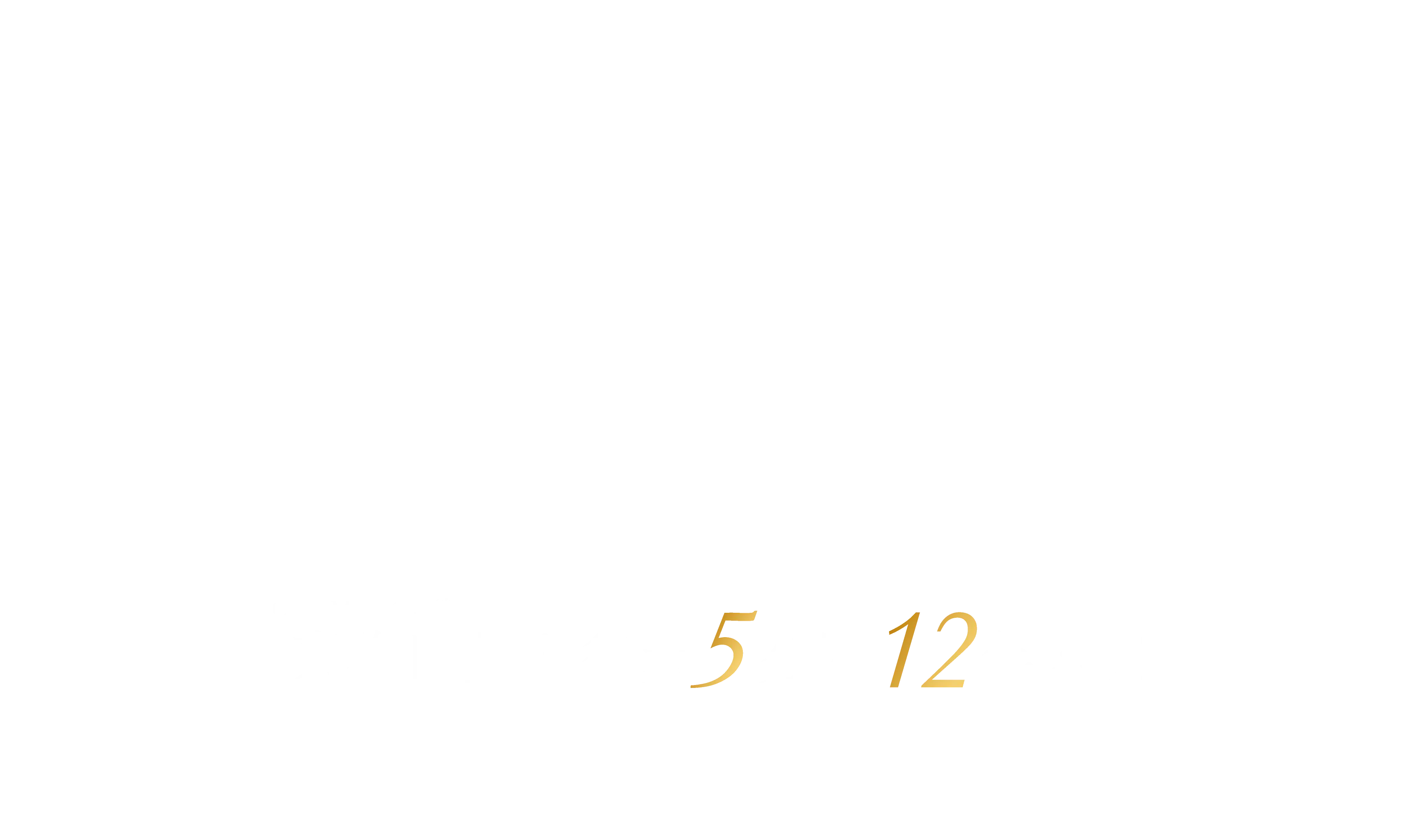 MVコピー