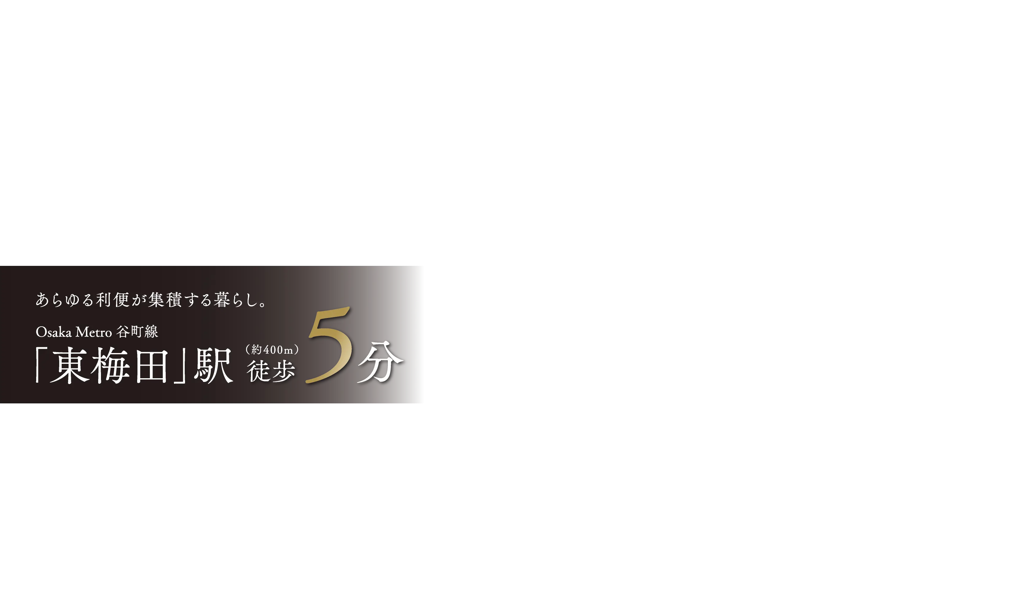MVコピー