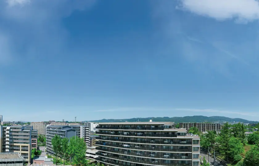 view