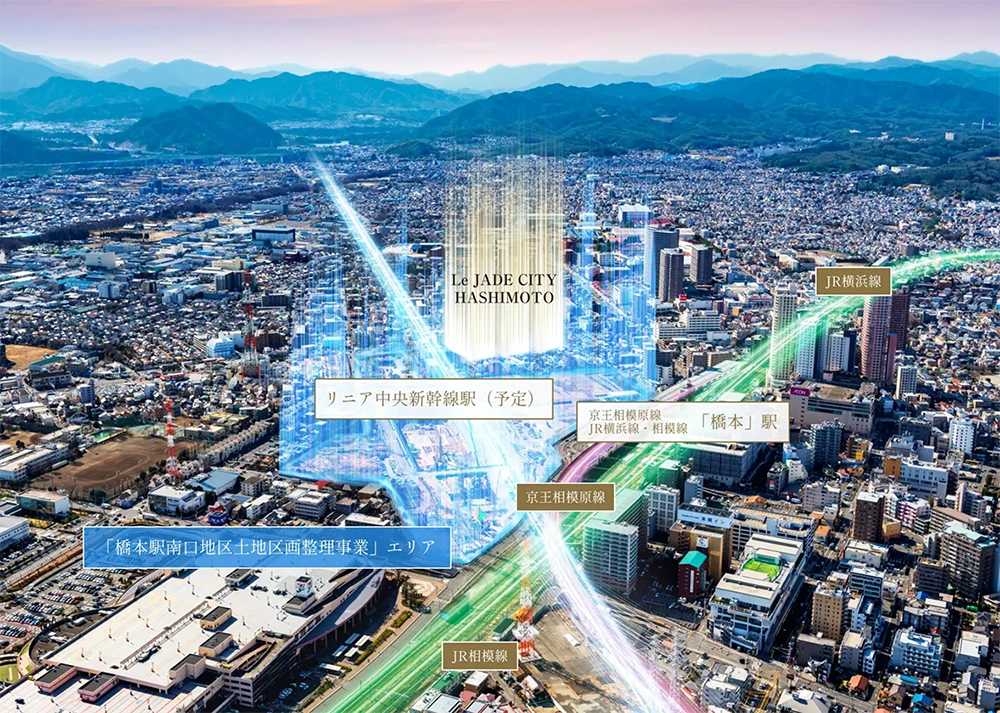航空写真