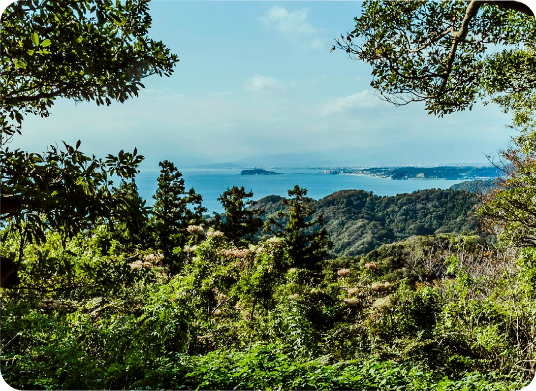 山の葉山トレイル