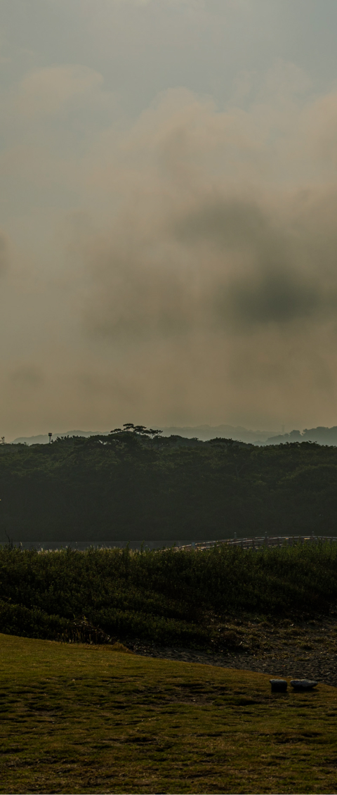 海と山、太陽と響き合う町。葉山で人生の景色をつくる。
