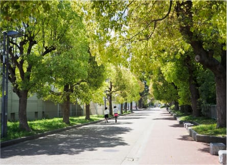 真田山公園