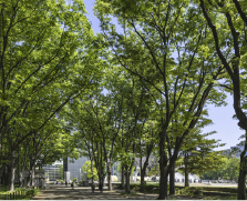 白川公園
