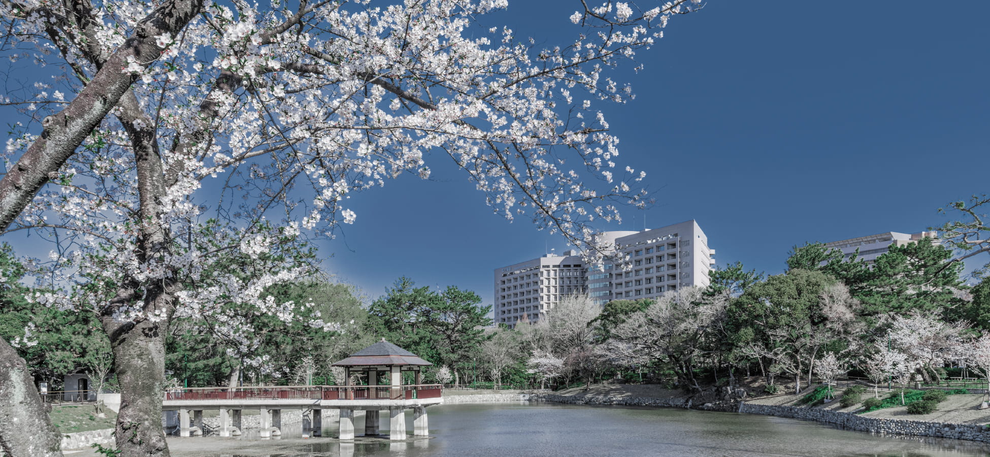 鶴舞公園（約1,430m）
