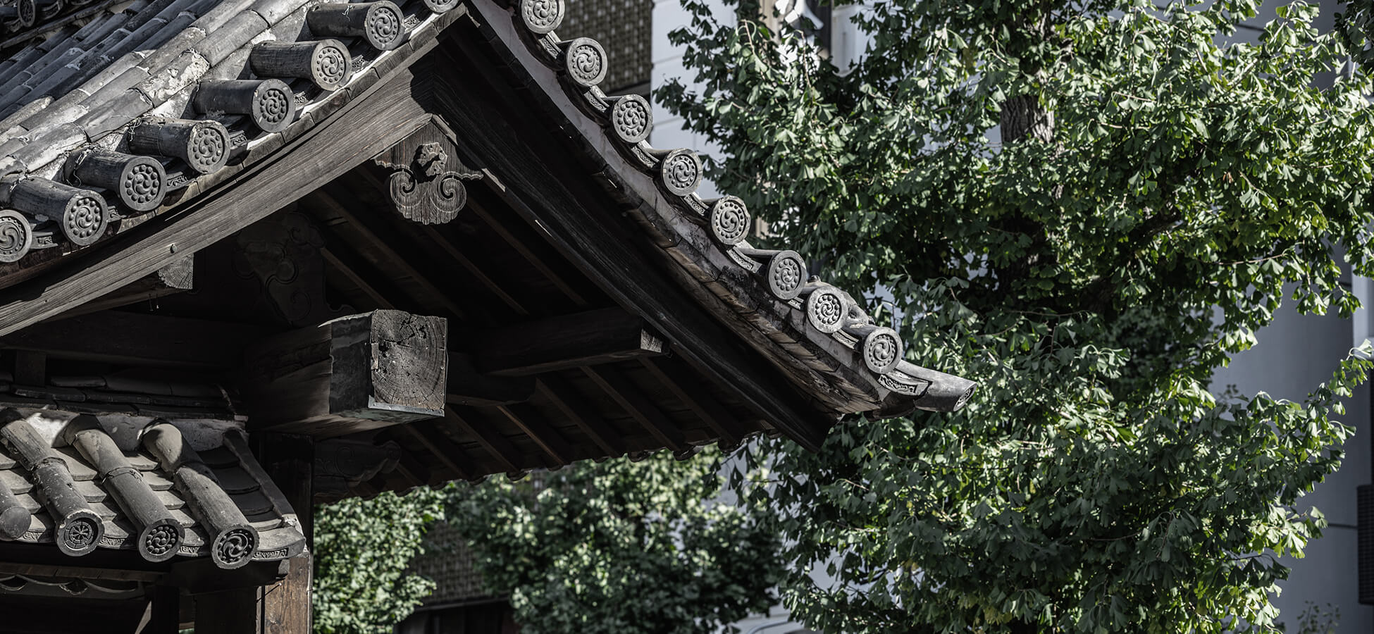 現地周辺の街並み（約510m）