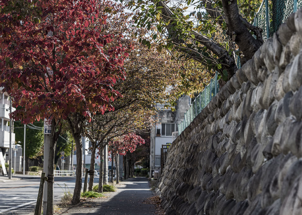現地周辺（約400m／徒歩5分）