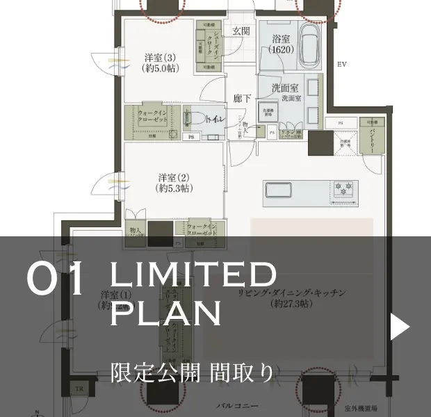 01LIMITED PLAN