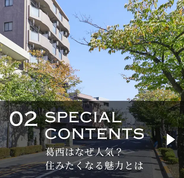 02SPECIAL CONTENTS