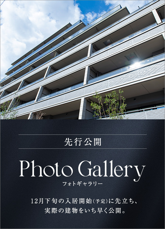 Photo Gallery