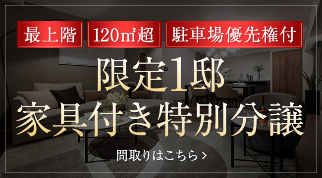 限定1邸｜モデルルーム家具付分譲