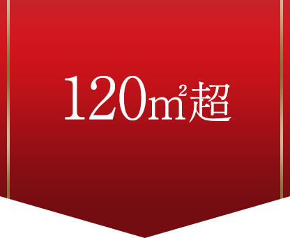 120㎡超