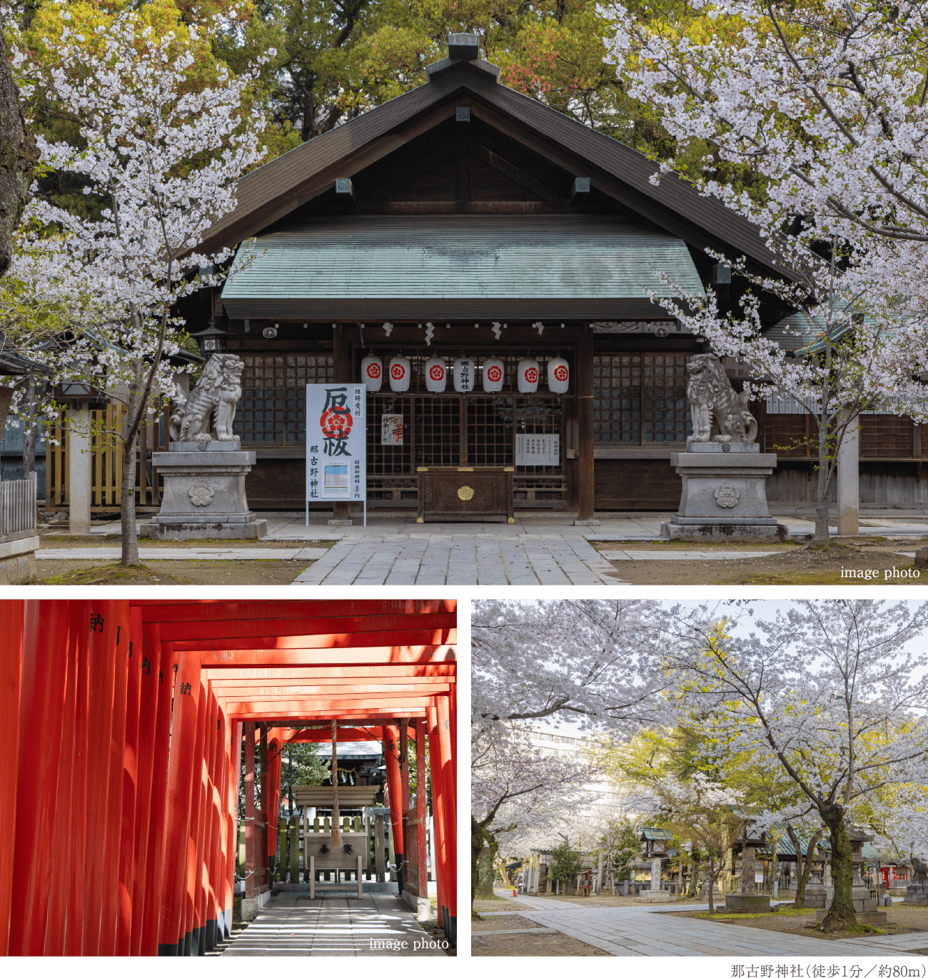 那古野神社（徒歩1分／約80m）
