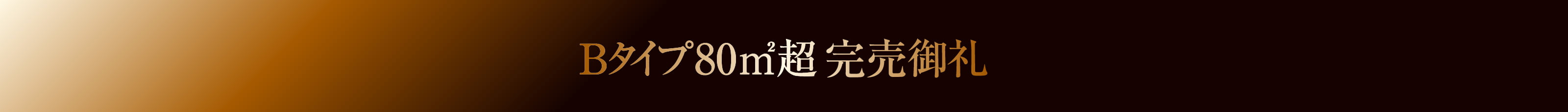 Bタイプ80㎡ 完売御礼