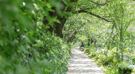 周辺環境のご紹介