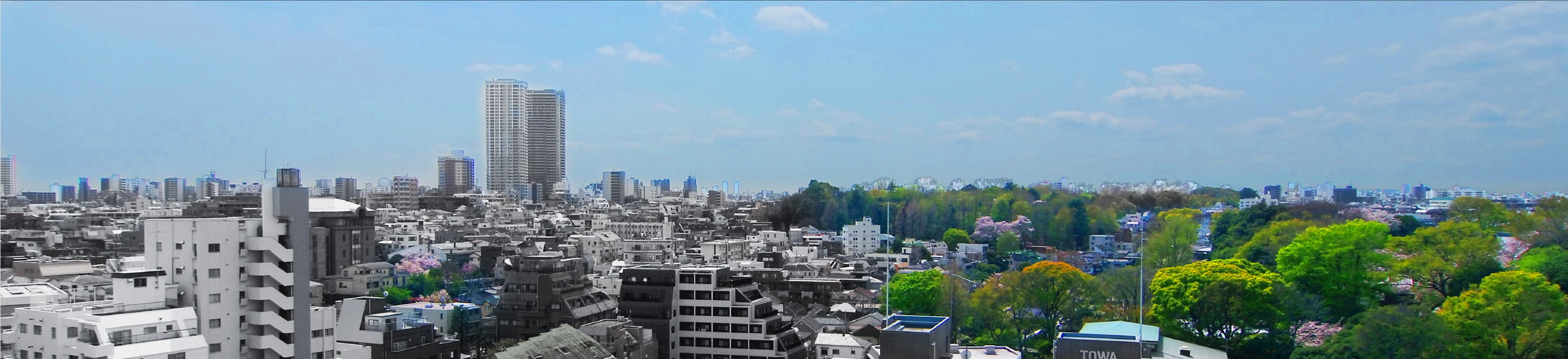 西側13階相当の眺望