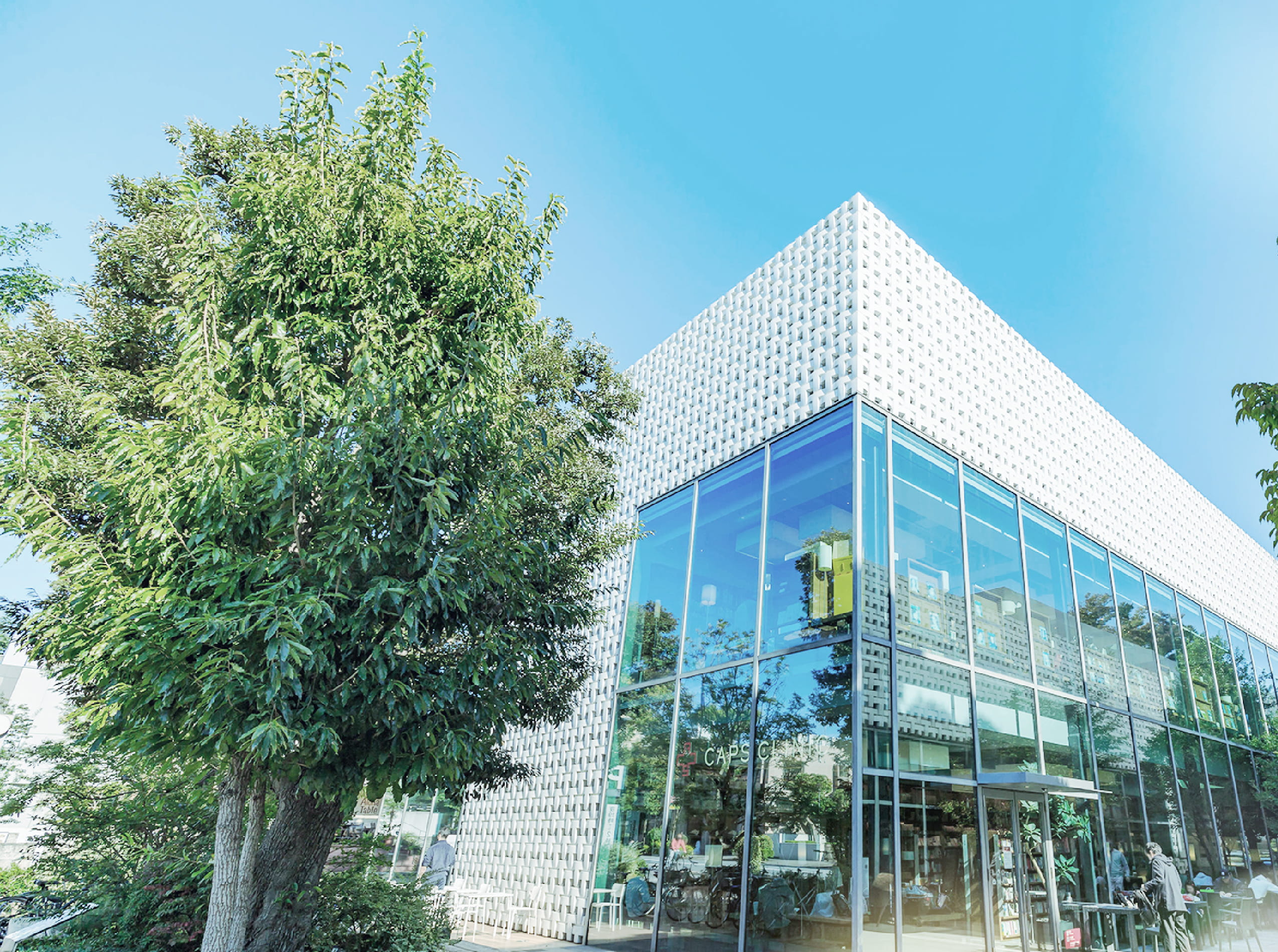 代官山T-SITE image photo