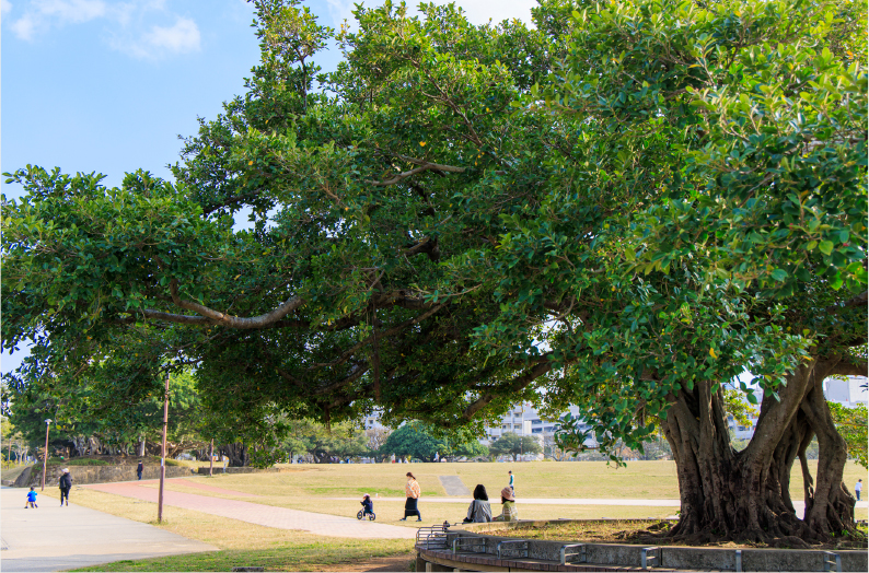 新都心公園