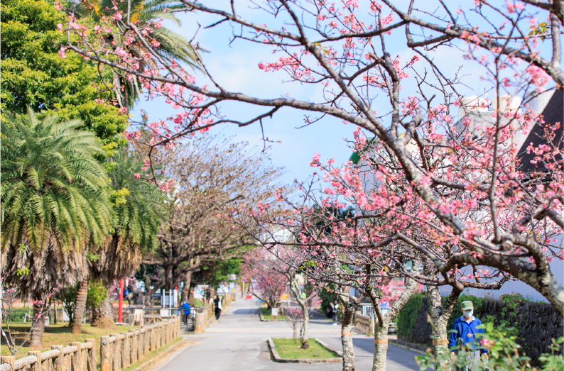 与儀公園