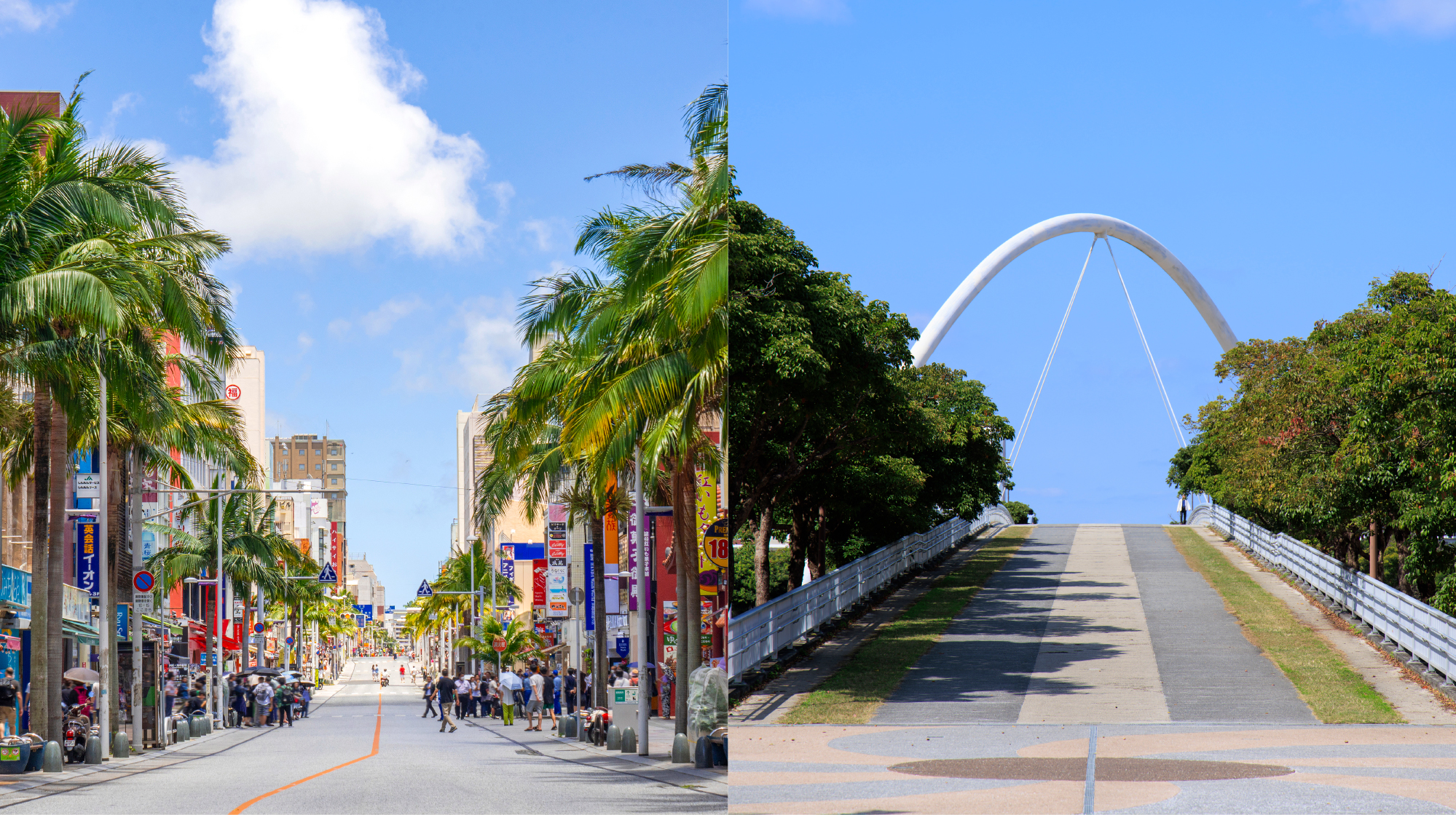 那覇国際通り商店街（徒歩4分・約280m）／新都心公園（徒歩12分・約960m）