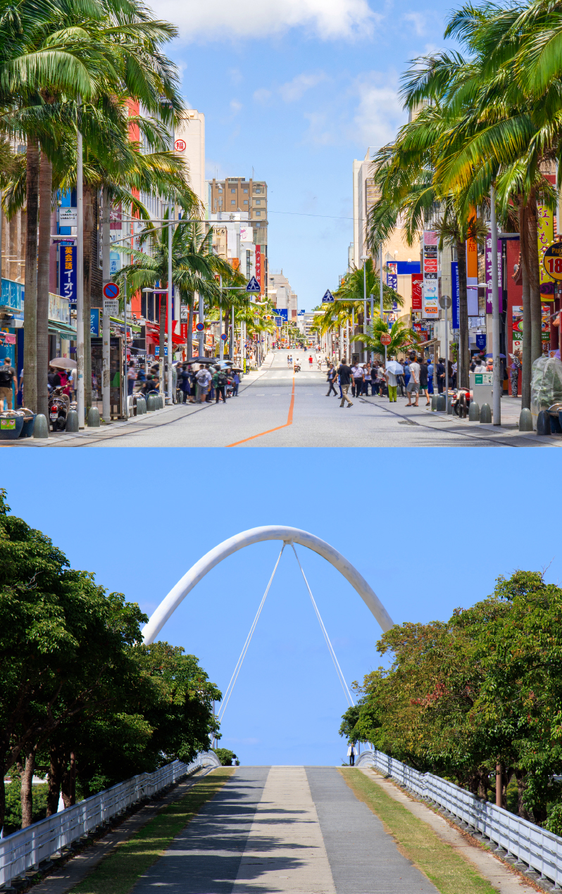 那覇国際通り商店街（徒歩4分・約280m）／新都心公園（徒歩12分・約960m）