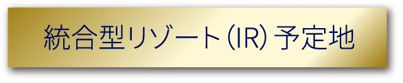 くるぞ！IR 未来がすぐそこに。