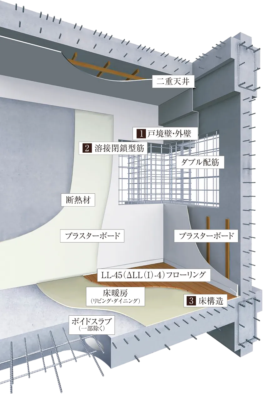 躯体構造イメージイラスト