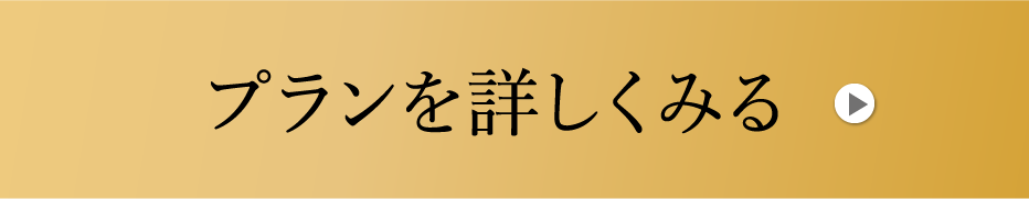 プランを詳しく見る