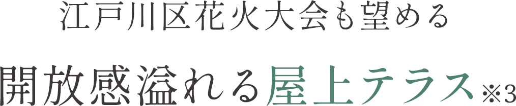 江戸川区花火大会も望める「屋上テラス※3」