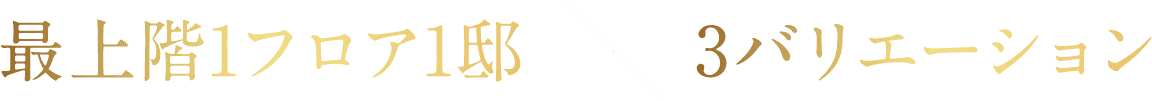最上階1フロア1邸×3バリエーション