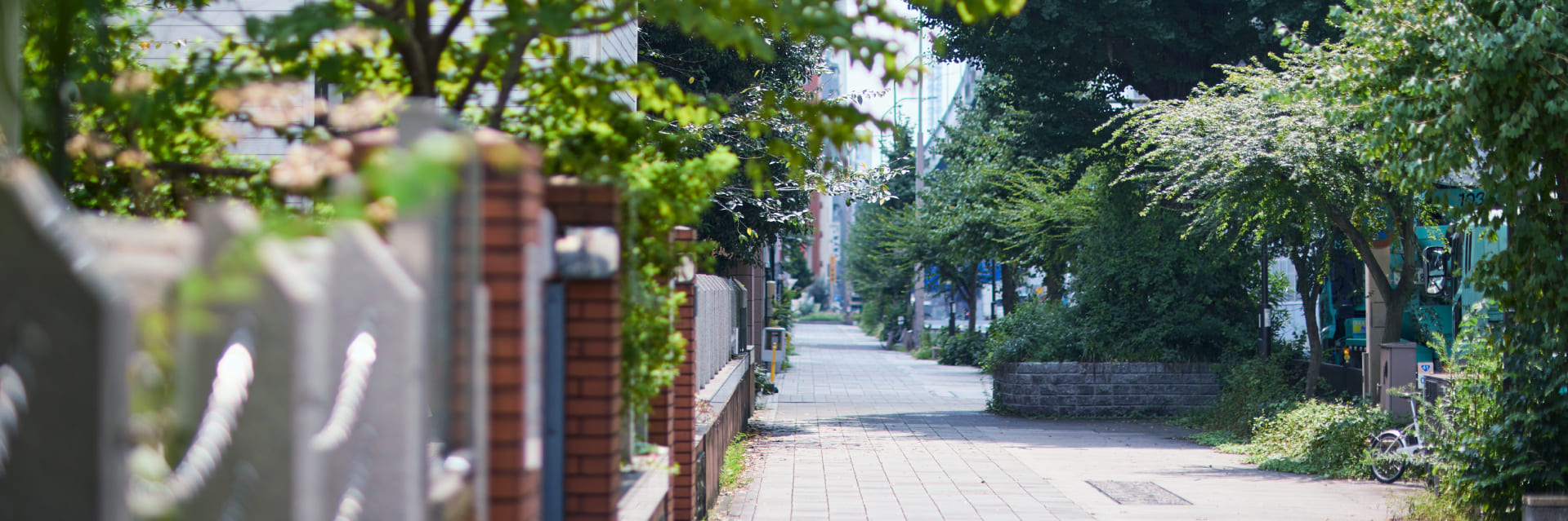 道路