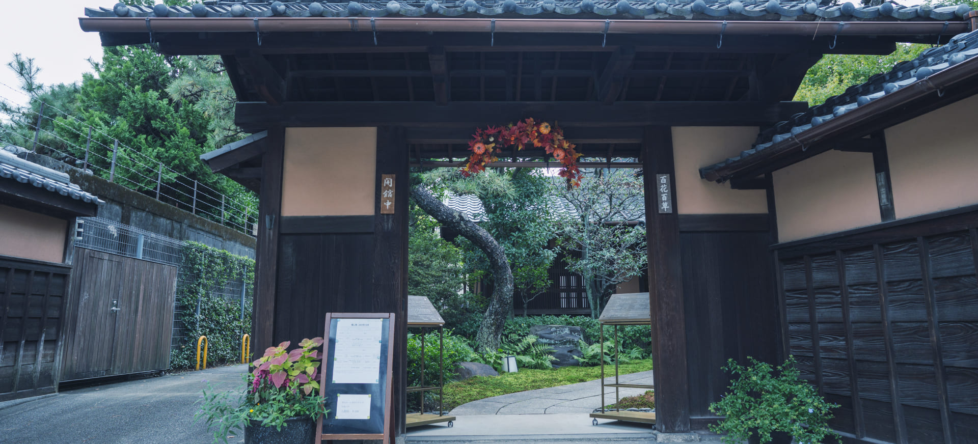 百花百年