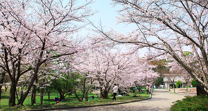 千里中央公園 ロケーション 公式 レ ジェイド千里古江台 株式会社日本エスコン